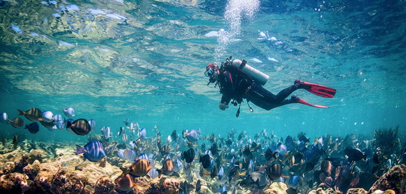 Florida Keys National Marine Sanctuary