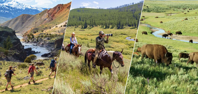 Things to do at Yellowstone National Park