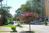 Car Rental Boa Vista from USD 35.09/day - Brazil