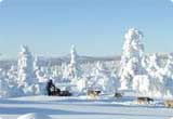 Car Hire Ivalo from USD 71.28/day - Finland Car Hire Ivalo from USD 71.28/day - Finland