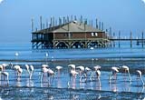 Alquiler de Coches Walvis Bay Desde USD 35.02/dia - Namibia Alquiler de Coches Walvis Bay Desde USD 35.02/dia - Namibia