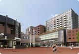 Location Voiture Centre-ville de Hoofddorp, Hoofddorp de USD 26.02/jour - Pays-Bas Location Voiture Centre-ville de Hoofddorp, Hoofddorp de USD 26.02/jour - Pays-Bas