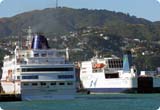 Car Rental Wellington Ferry Port, Wellington - New Zealand