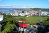 Car Rental Wellington - New Zealand