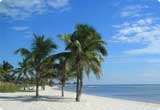 Car Rental Key West from USD 36.6/day - USA Florida Car Rental Key West from USD 36.6/day - USA Florida