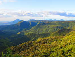 Black River Gorges Nationalpark