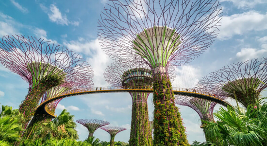 Gardens by the Bay