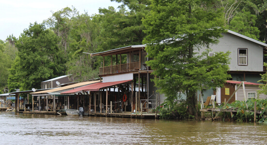 Honey Islands Swamp Tour