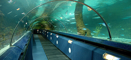 Kelly Tarlton's Sea Life Aquarium