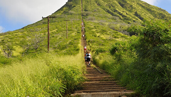 Koko head
