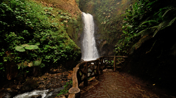 Jardines Cataratas La Paz