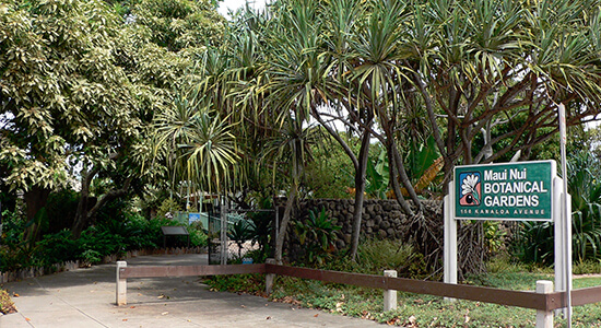Maui Nui Botanical Gardens