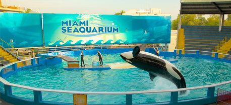 Miami Seaquarium
