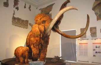 意大利贝加莫的自然历史博物馆