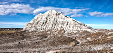 Petrified Forest National park