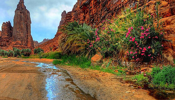 Prince Fahed Bin Sultan Park