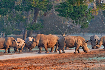 Ramat Gan Safari