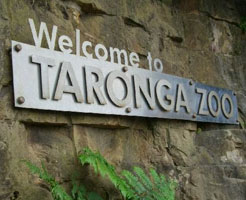 Taronga Zoo 