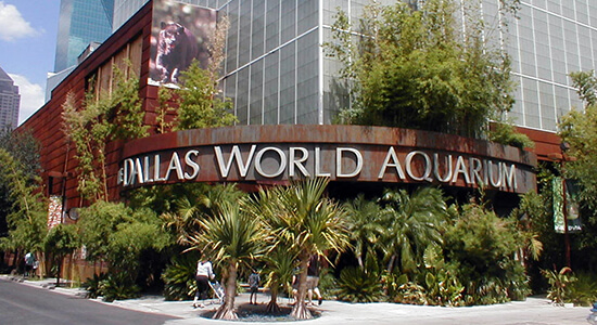 The Dallas World Aquarium