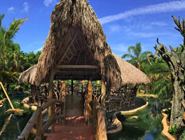 Zoological Wildlife Foundation
